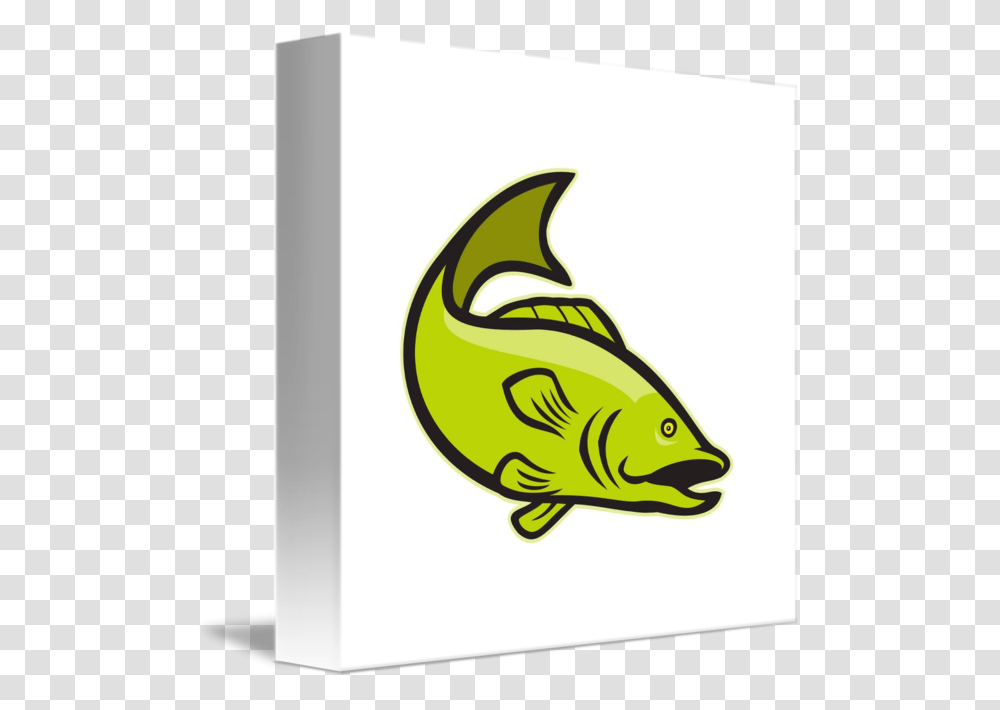 Fish Jump Download, Word, Animal Transparent Png