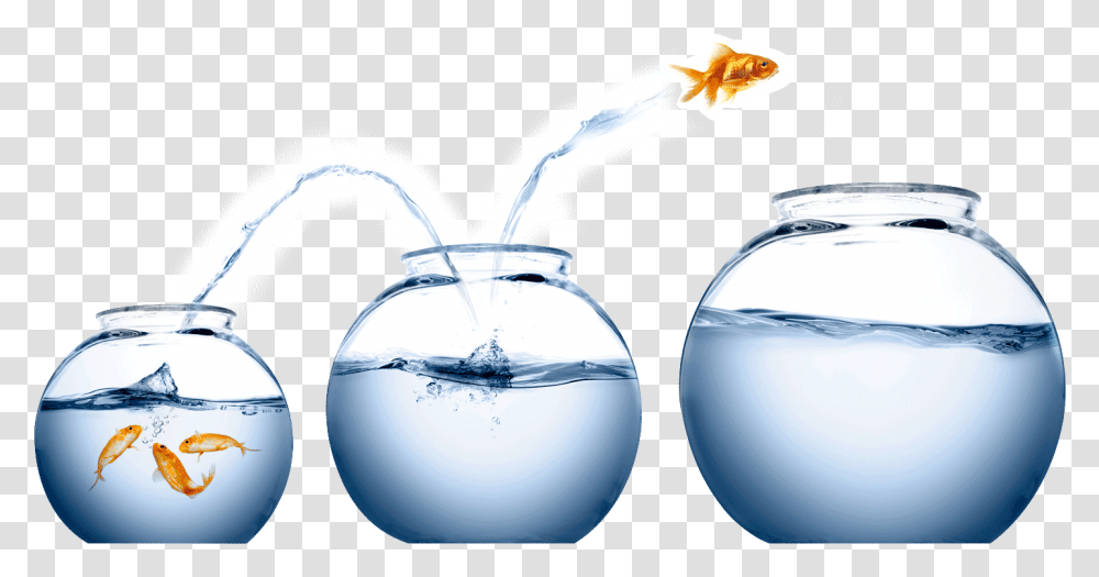 Fish Jumping From One Bowl To Another, Jug, Animal, Bird, Jar Transparent Png