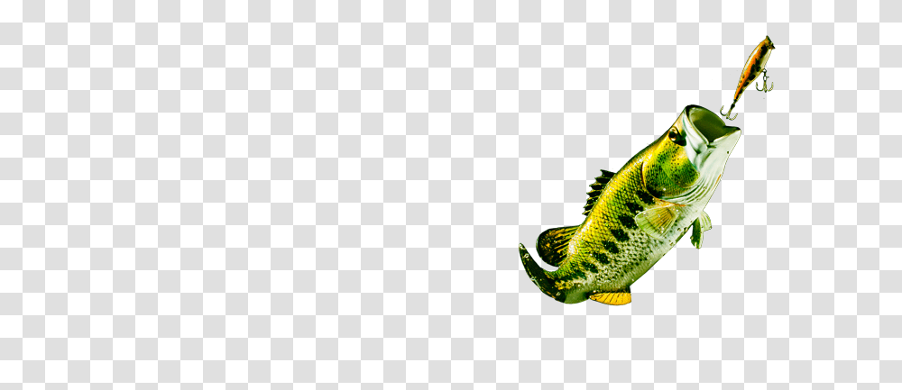 Fish Jumping Out Of Water, Iguana, Lizard, Reptile, Animal Transparent Png