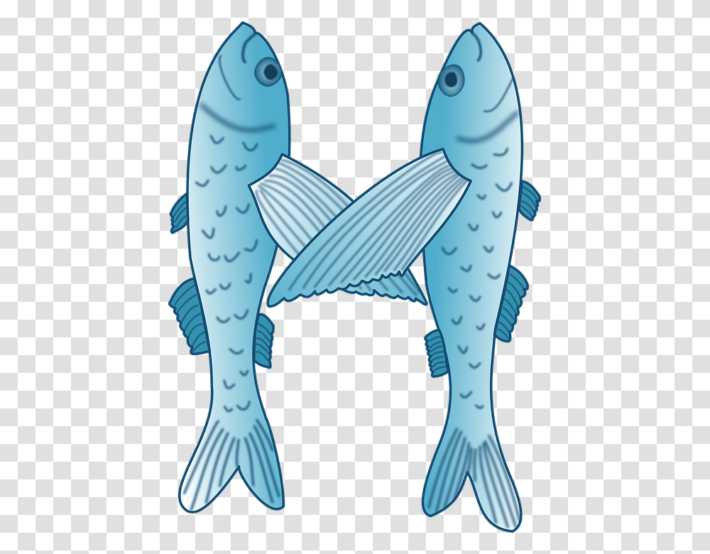 Fish Letter M, Whale, Mammal, Sea Life, Animal Transparent Png