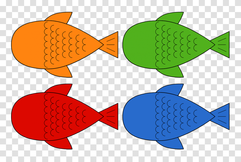 Fish Little Fish Fishing Mar Carp, Tie, Animal, Pattern Transparent Png