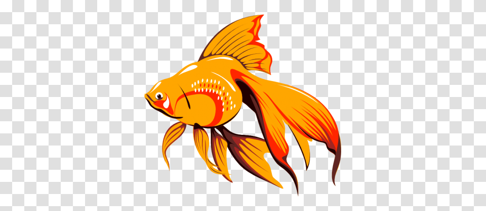 Fish Net Clipart Goldfish, Animal Transparent Png