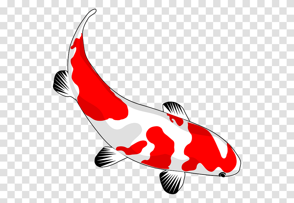 Fish Net Clipart Pond Animal, Koi, Carp, Ketchup, Food Transparent Png