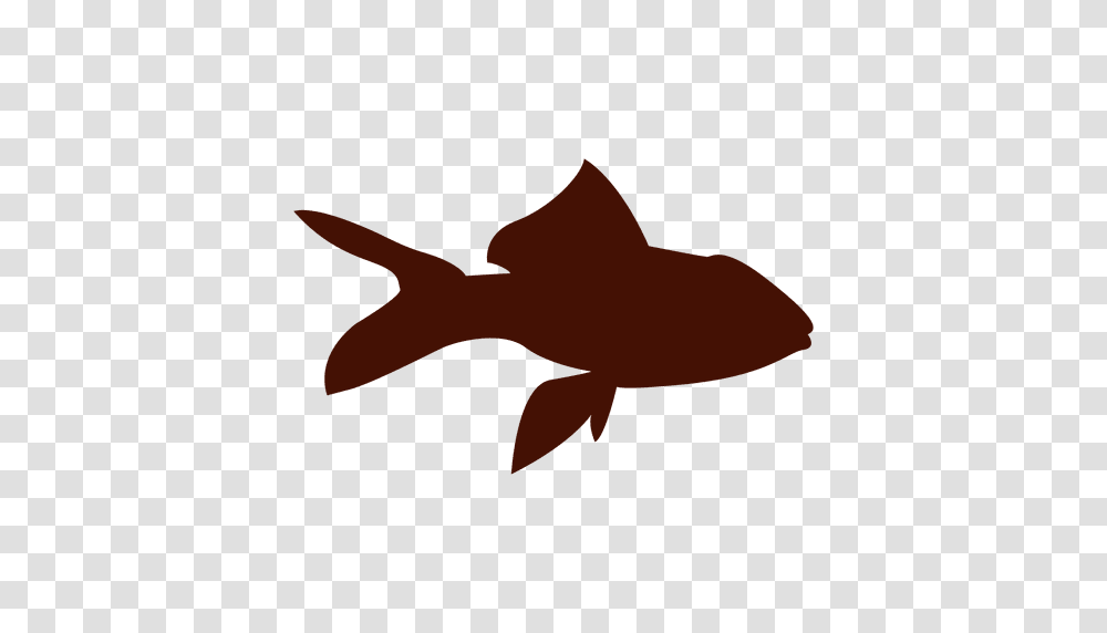 Fish Pet Silhouette, Animal, Water, Cod, Goldfish Transparent Png