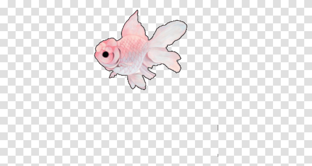 Fish Pink Tumblr Cute Kawaii Overlay Overlays Kawaii Fish Transparent Png