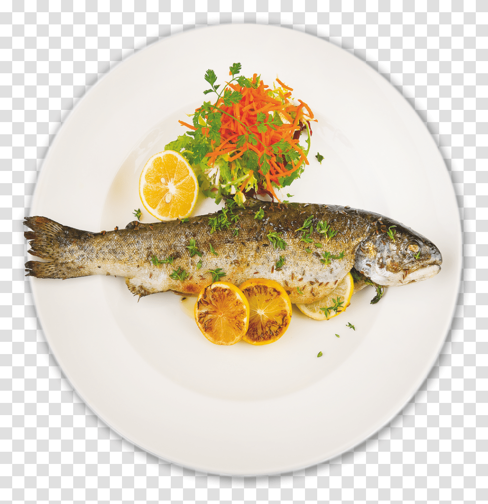 Fish Plate Download, Dish, Meal, Food, Animal Transparent Png
