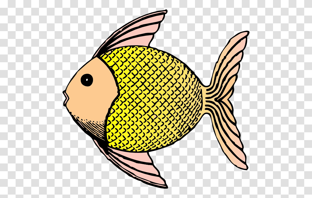 Fish Scales Fish With Scales Clipart, Animal, Bird, Angelfish, Sea Life Transparent Png