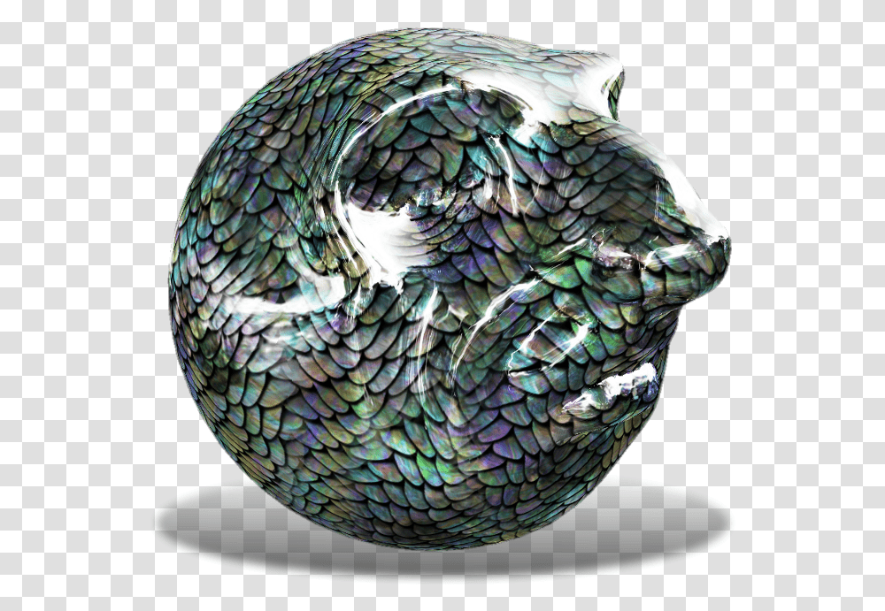 Fish Scales, Sphere, Bird, Animal, Snake Transparent Png