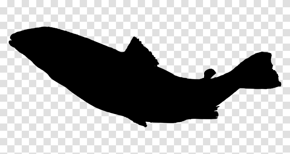 Fish Sea Life Food Silhouette Fishing, Gray, World Of Warcraft Transparent Png