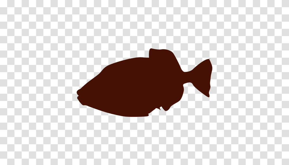 Fish Silhouette, Ketchup, Animal, Outdoors, Arrow Transparent Png