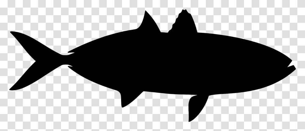 Fish Silhouette Tropical Sea Creatures Under Water Silhouette, Gray, World Of Warcraft Transparent Png