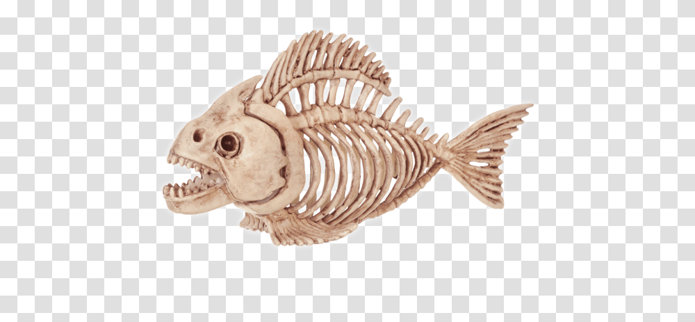 Fish Skeleton Halloween Decoration Halloween Animal Skeleton Decorations, Fossil Transparent Png