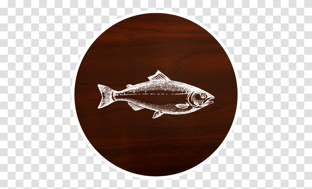 Fish Sockeye Salmon, Animal, Coho, Mullet Fish, Sea Life Transparent Png