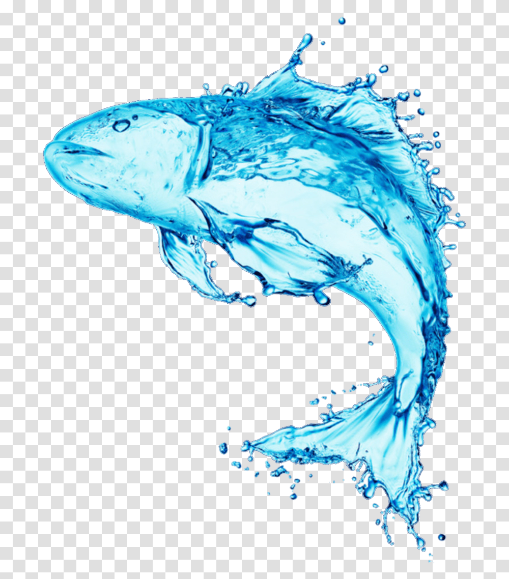 Fish Stock Photography Water Royalty Free Water Fish Made Of Water, Bird, Animal, Sea Life, Droplet Transparent Png