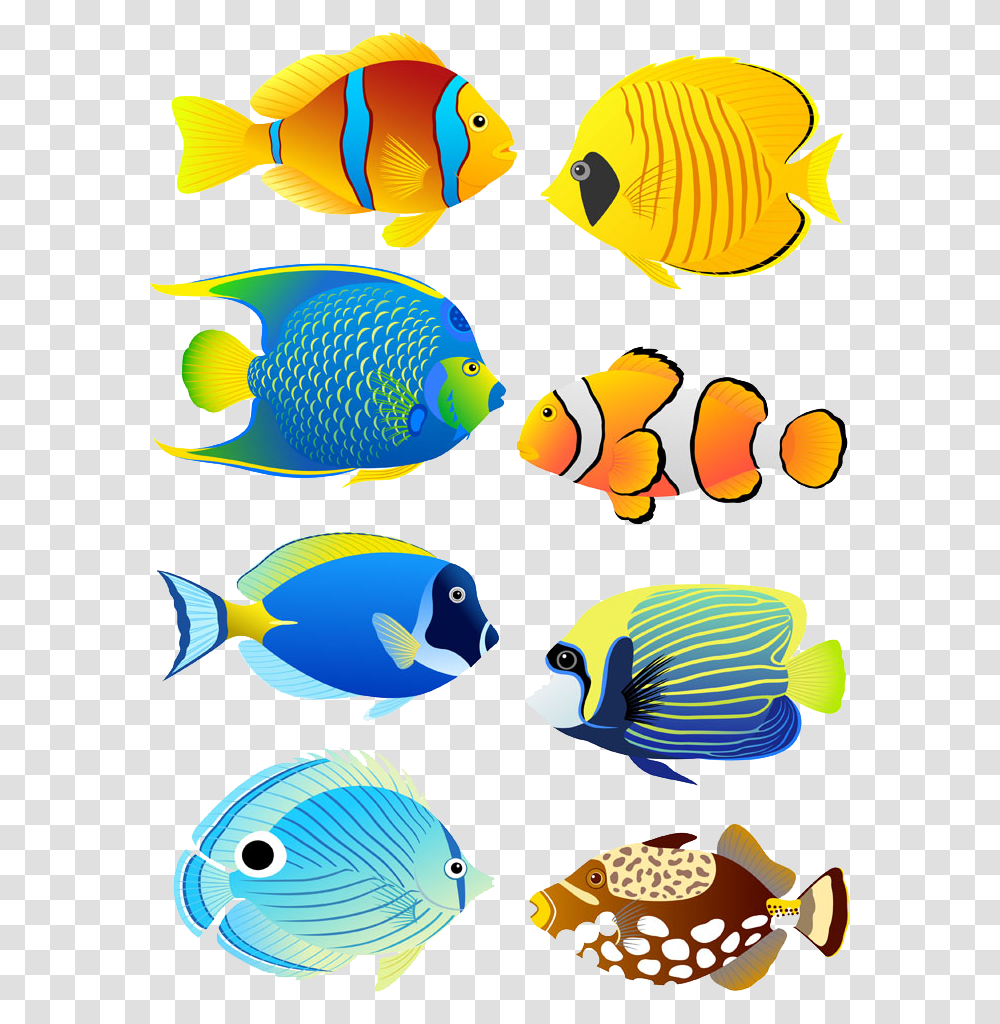 Fish Tank Clipart Coral Reef Fish Clipart, Angelfish, Sea Life, Animal, Bird Transparent Png