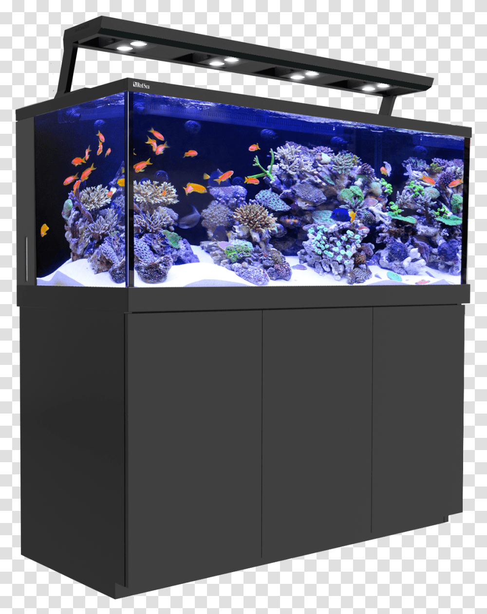 Fish Tank Red Sea Reefer Deluxe, Water, Outdoors, Nature, Aquatic Transparent Png