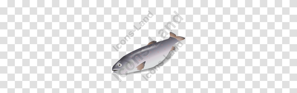 Fish Trout Icon Pngico Icons, Animal, Sea Life, Mammal, Cod Transparent Png
