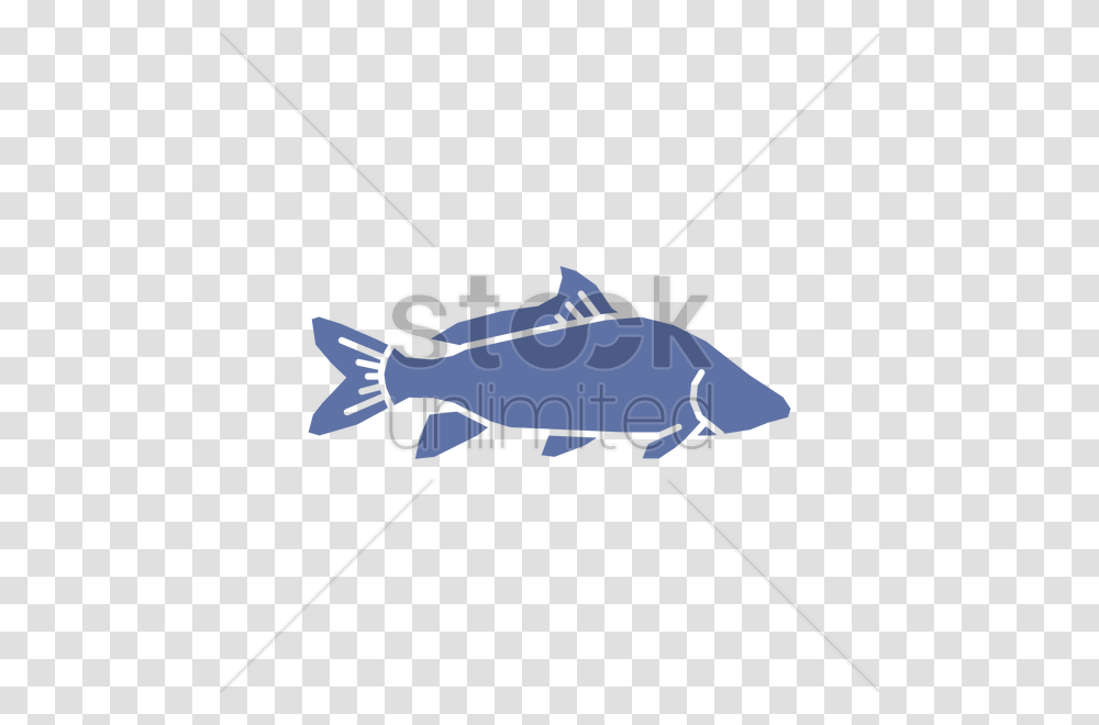 Fish Vector Image, Bow, Animal, Sea Life, Seafood Transparent Png