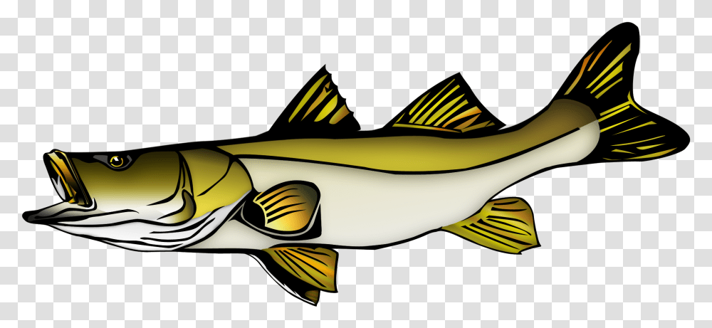 Fish Vector Snook Snook Clip Art, Animal, Sea Life, Puffer Transparent Png