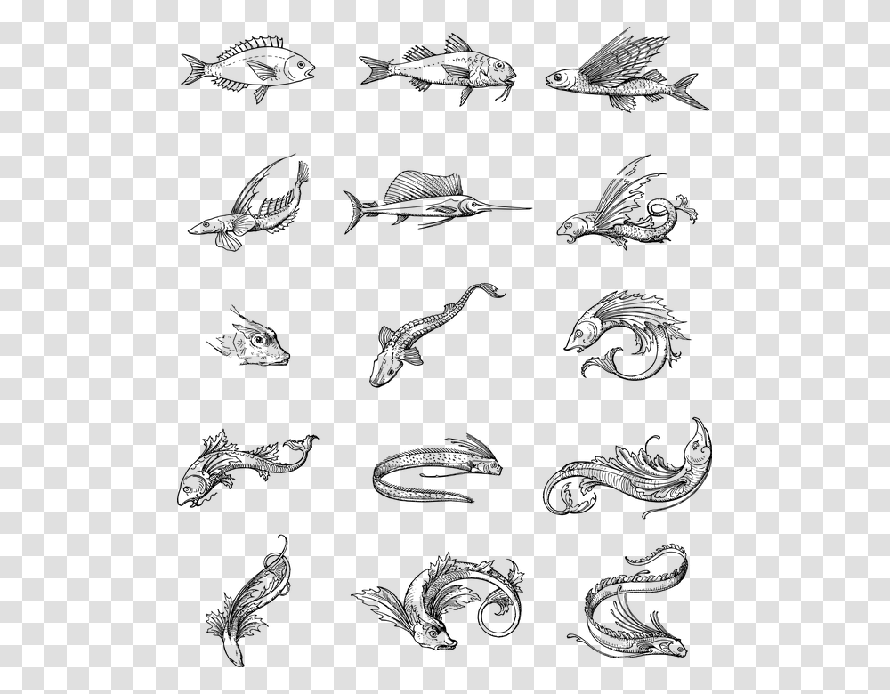 Fish Vintage Line Art Animals Swimming Aquatic Sketch, Gray, World Of Warcraft Transparent Png