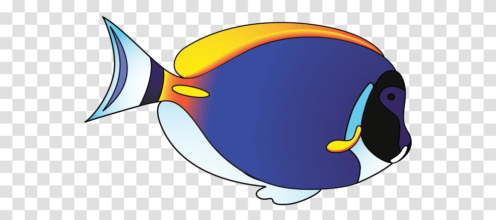 Fish X Ray Clipart At Free For Personal Use Tropical Cartoon Fish, Surgeonfish, Sea Life, Animal, Sunglasses Transparent Png