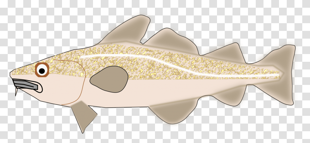 Fishcodtrout Cod, Animal Transparent Png