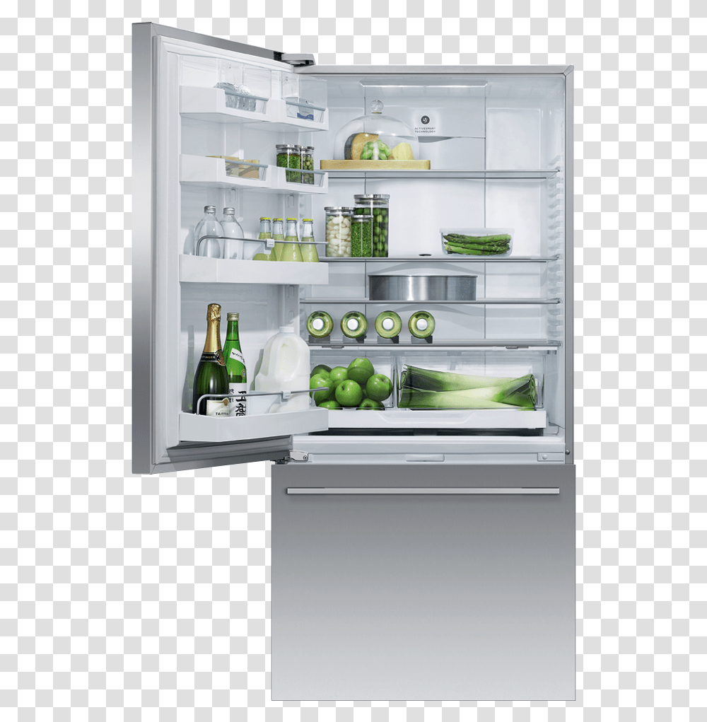 Fisher Amp Paykel, Shelf, Appliance, Refrigerator, Pantry Transparent Png