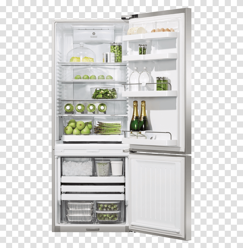 Fisher Amp Paykel, Shelf, Refrigerator, Appliance, Pantry Transparent Png