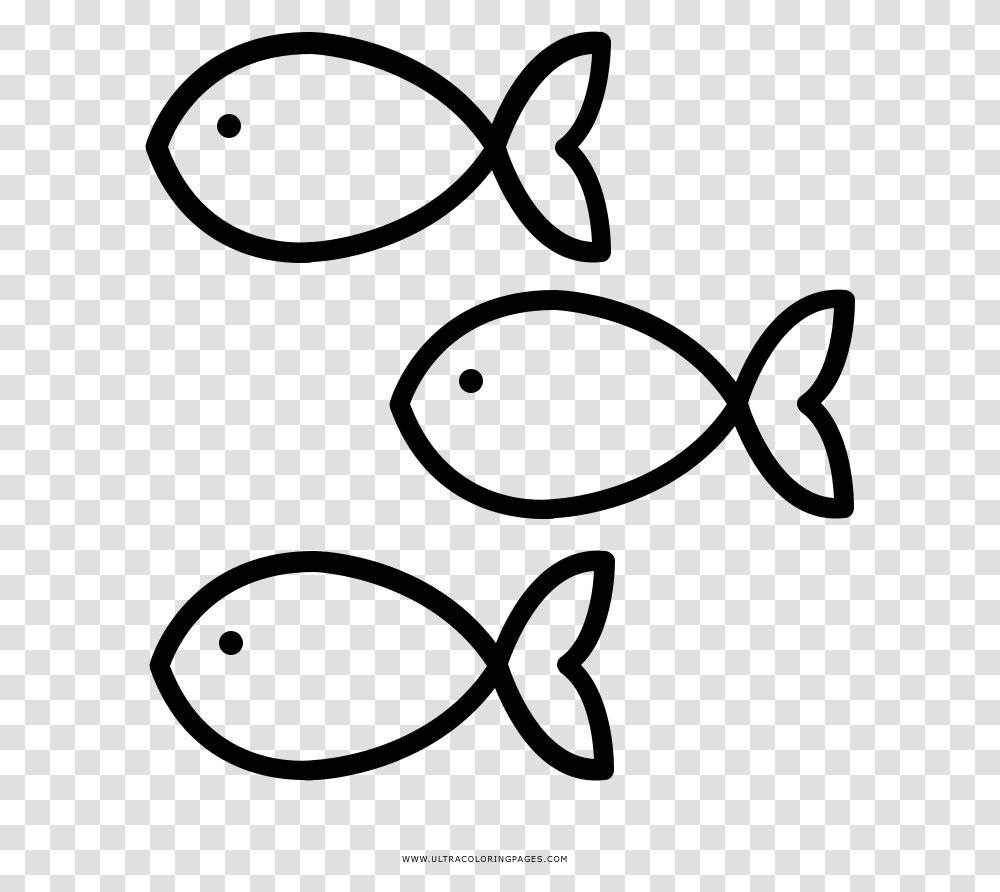 Fishes Coloring, Gray, World Of Warcraft Transparent Png
