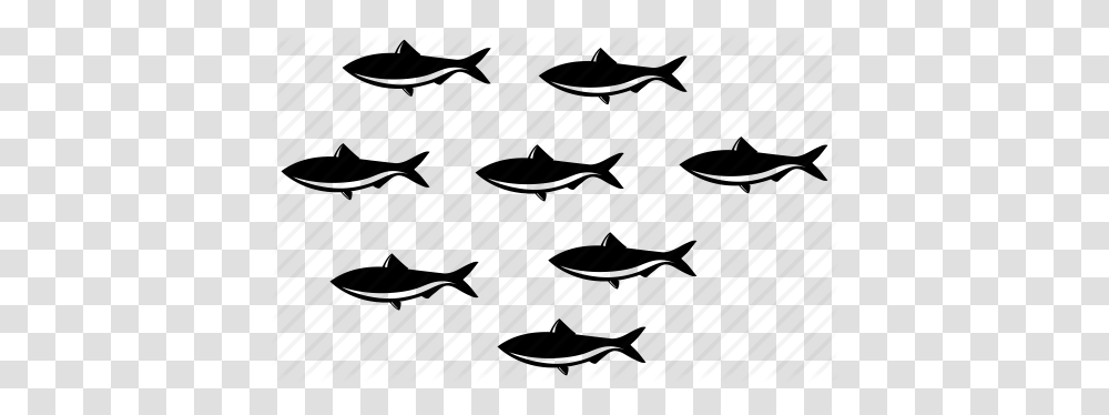 Fishes Many Fish School Of Fish Sea Sealife Team Underwater Icon, Piano, Texture, Pattern, Road Transparent Png