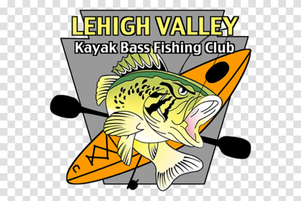 Fishing Club, Animal, Perch, Flyer, Poster Transparent Png