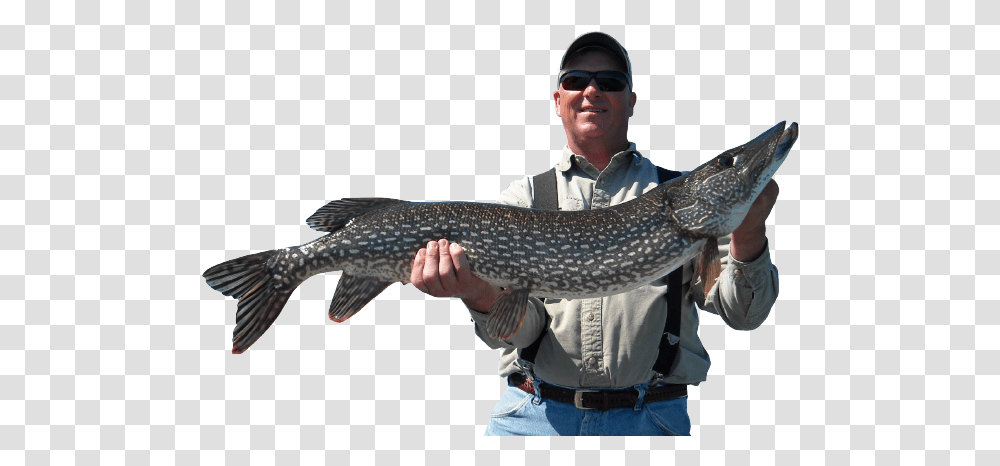 Fishing Guide Pike, Person, Human, Animal, Sunglasses Transparent Png