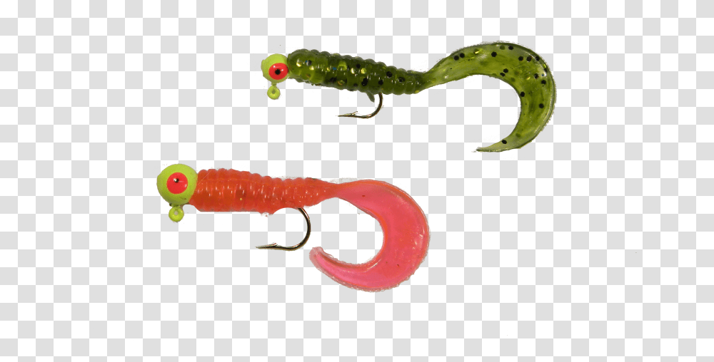 Fishing Hook Caterpillar, Amphibian, Wildlife, Animal, Lizard Transparent Png
