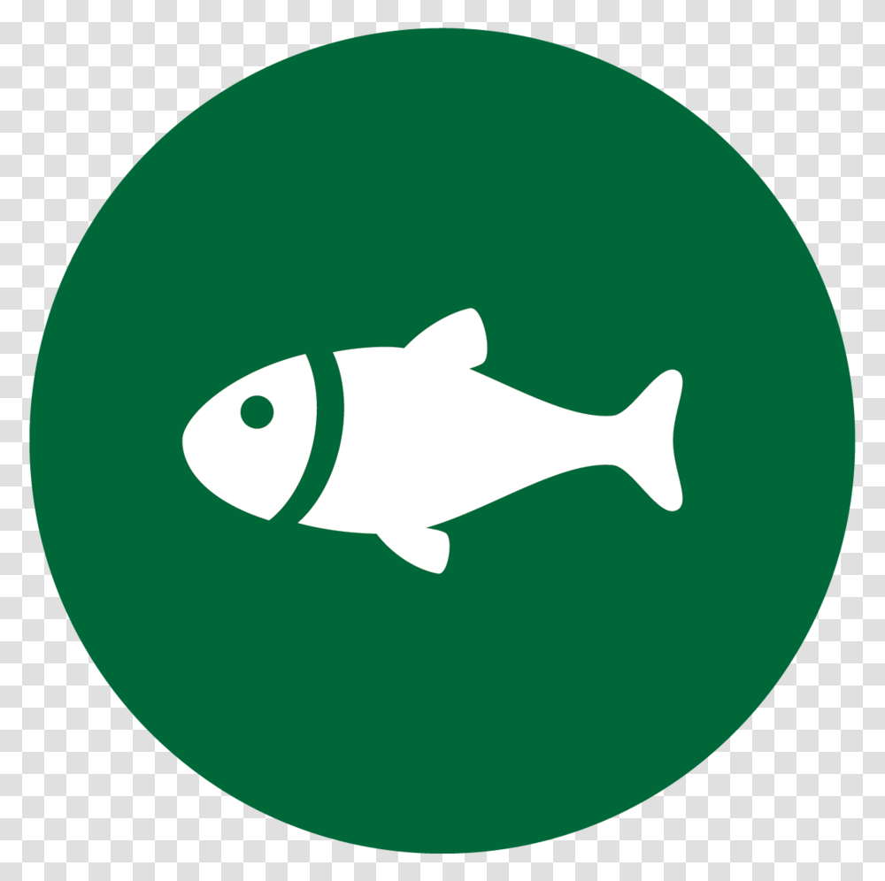 Fishing Icons Fish Sign, Animal, Mammal, Sea Life, Carp Transparent Png