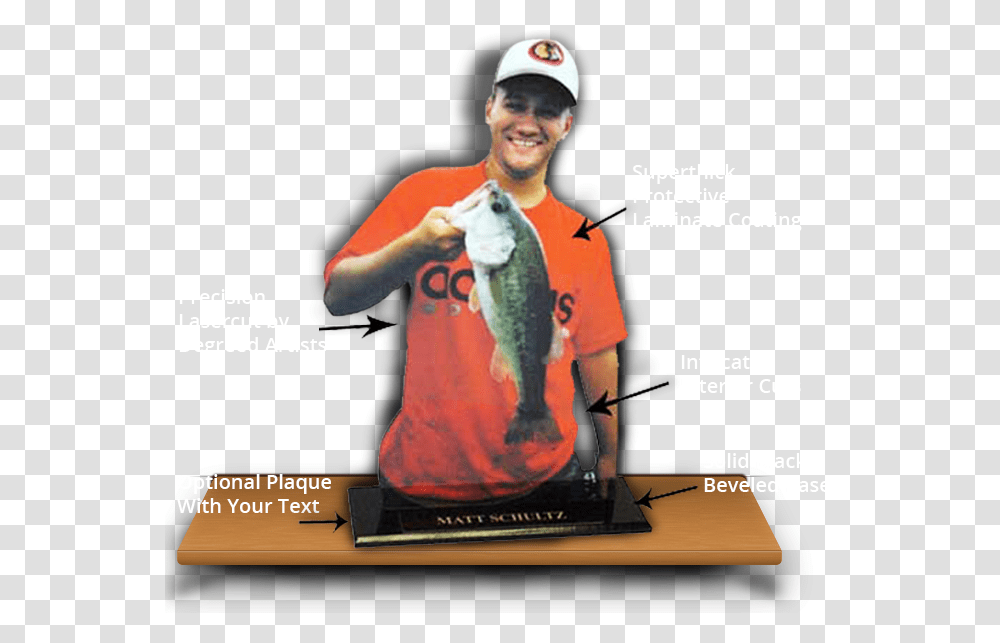 Fishing Lasertrophy Photo Cutout Showing Quality Of Pull Fish Out Of Water, Person, Human, Animal, Perch Transparent Png