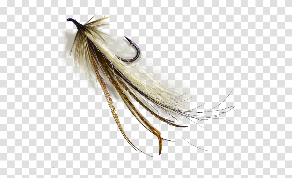 Fishing Lure Background Fishing Fly Background, Bow, Leisure Activities, Bird, Animal Transparent Png