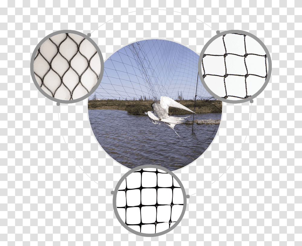Fishing Net, Sphere, Adventure, Leisure Activities, Balloon Transparent Png