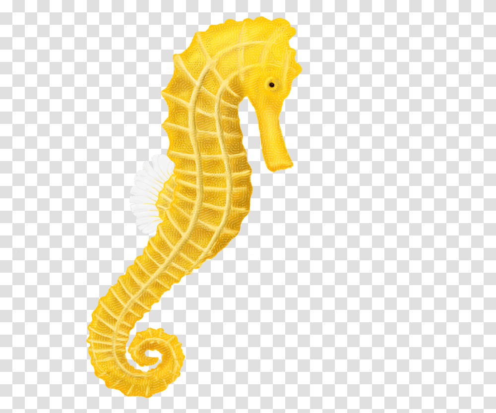 Fishing Pole Download Seahorse Hq Image Background Seahorse Clipart, Sea Life, Animal Transparent Png