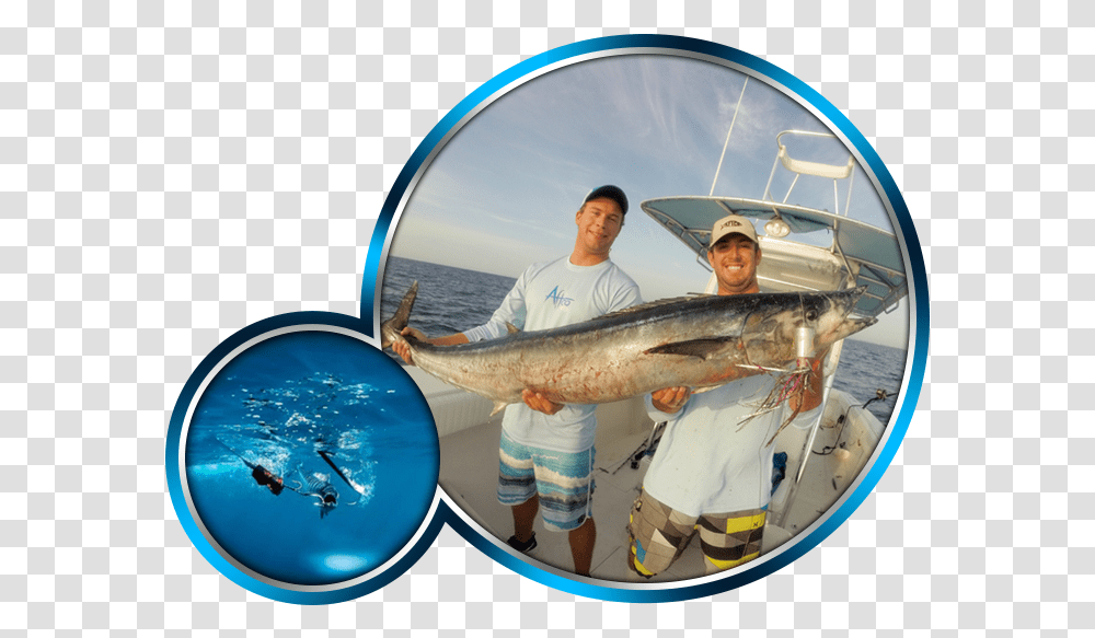 Fishing Tournament Rules Jigging, Person, Human, Animal, Sea Life Transparent Png