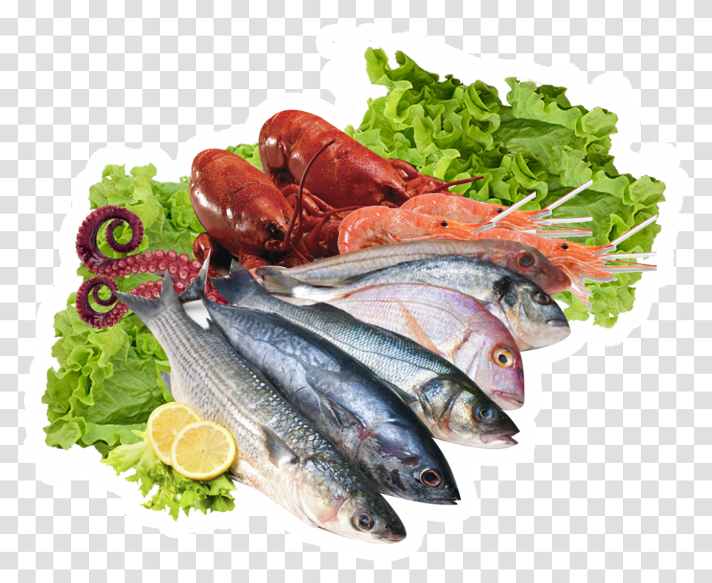 Fishmackerelleaf Herring Pescados Y Mariscos, Animal, Lobster, Seafood, Sea Life Transparent Png