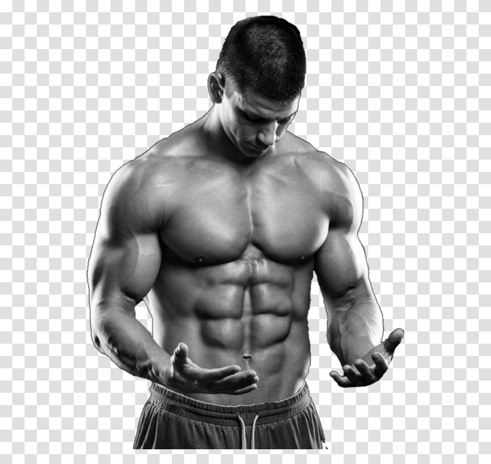 Fitness Body, Person, Human, Working Out, Sport Transparent Png