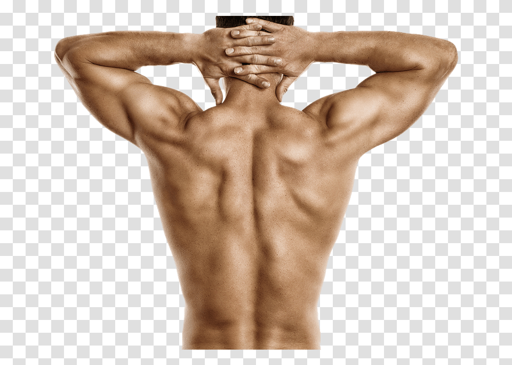 Fitness Hombre Espalda, Back, Person, Human, Shoulder Transparent Png