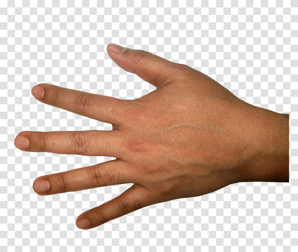 Five Finger Hand Image Back Of Hand, Wrist, Person, Human Transparent Png