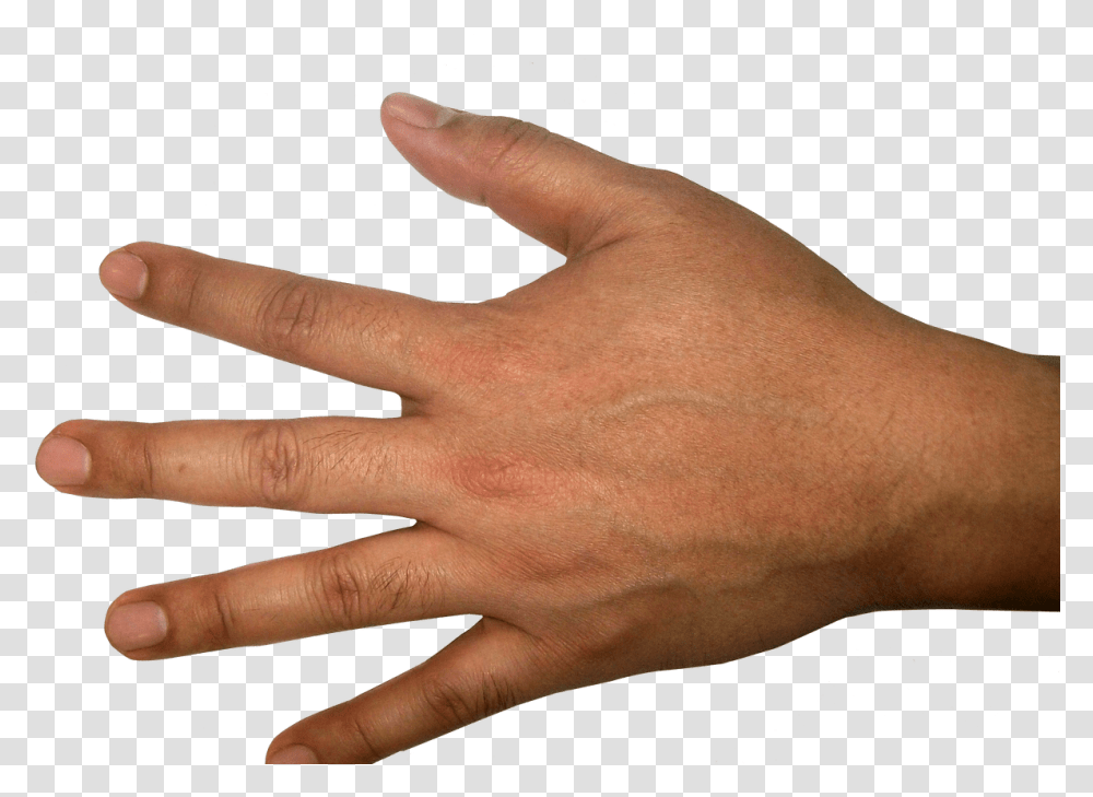 Five Finger Hand Image Purepng Free Human Hand Background, Person, Wrist Transparent Png