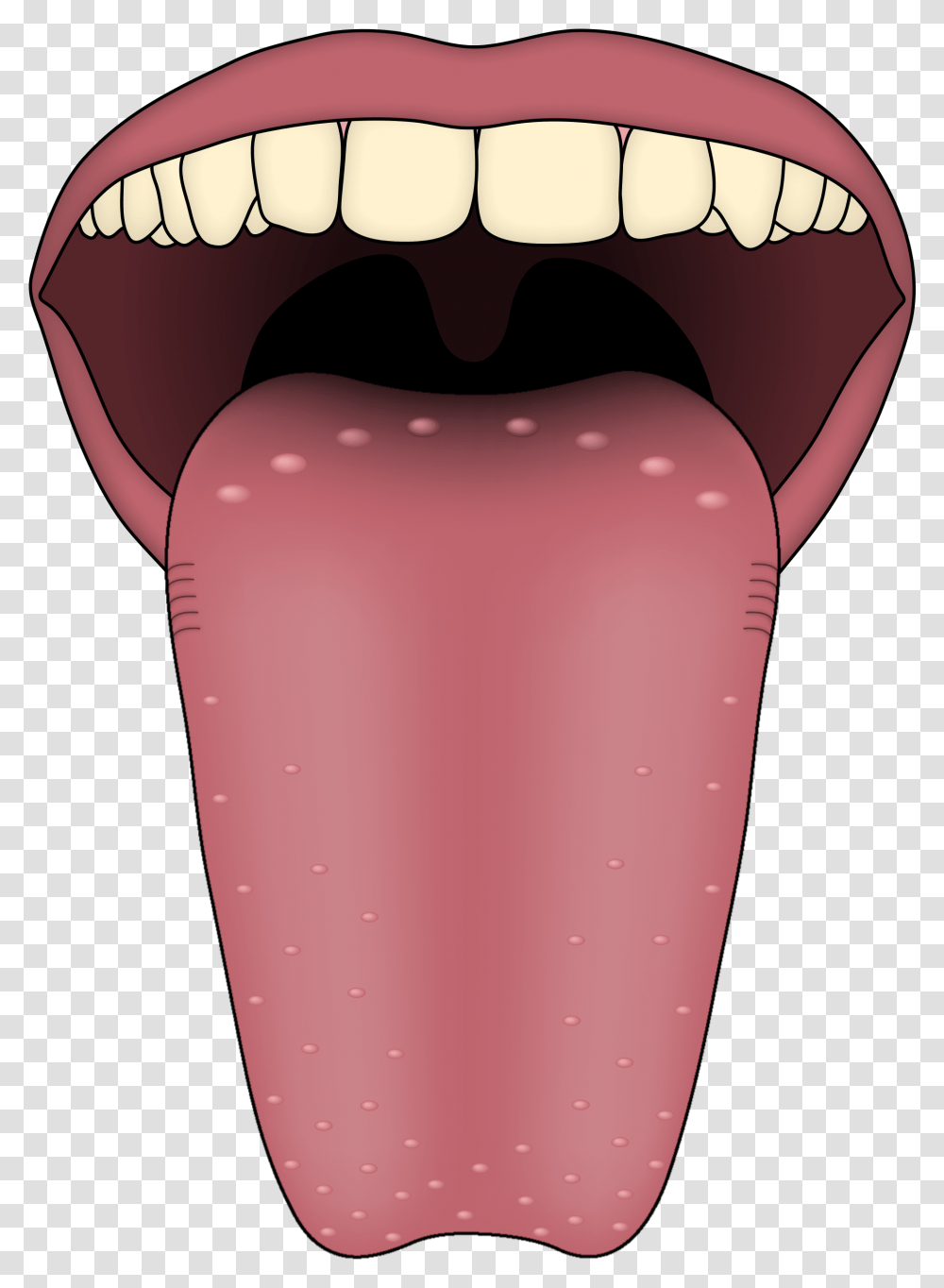 Five Sense Organs Tongue, Mouth, Lip, Teeth Transparent Png