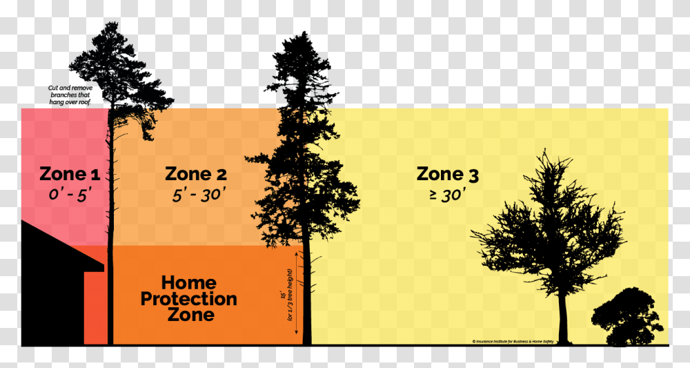 Five Steps To Creating An Effective Defensible Space, Tree, Plant, Paper Transparent Png