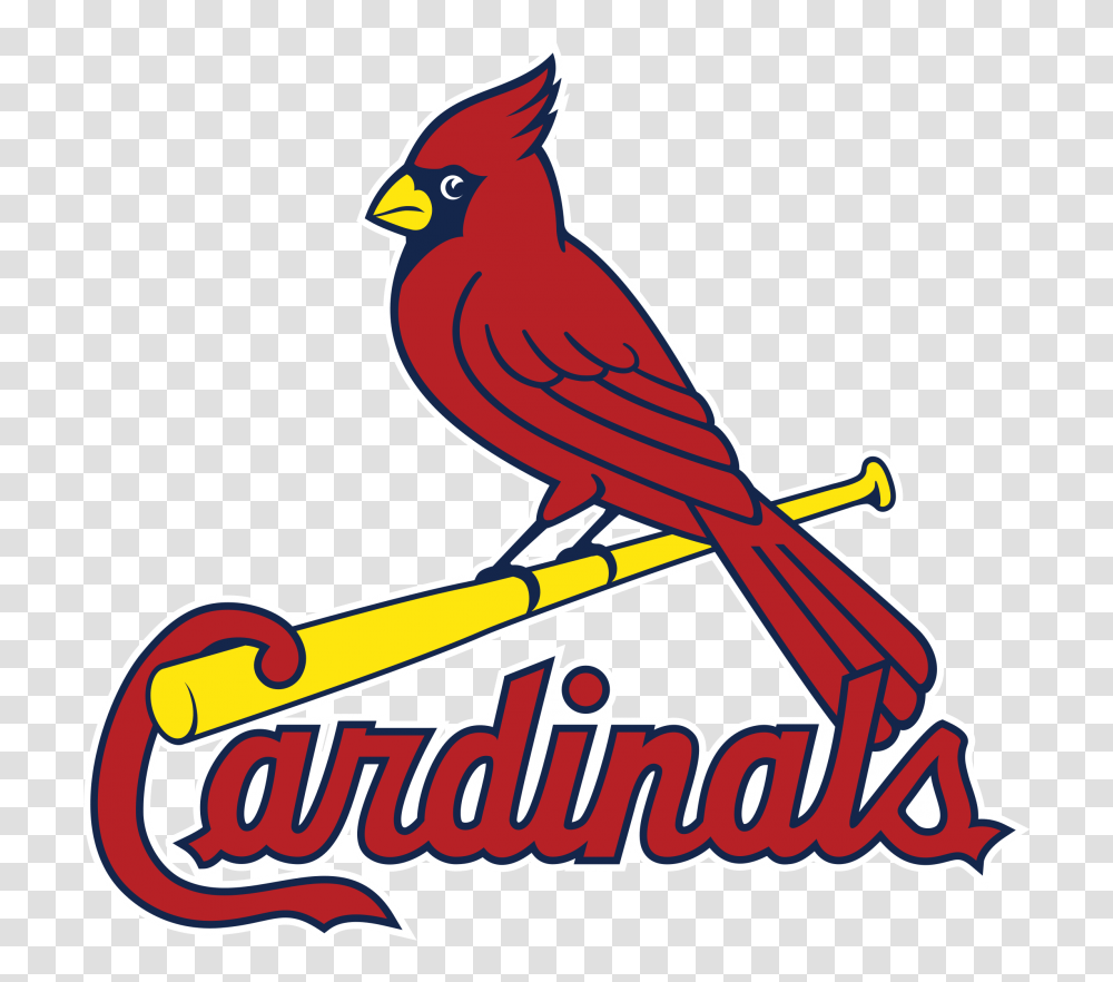 Fix All The Bird Logos In Pro Sports St Louis Cardinals Logo Vector, Animal, Symbol, Trademark, Finch Transparent Png