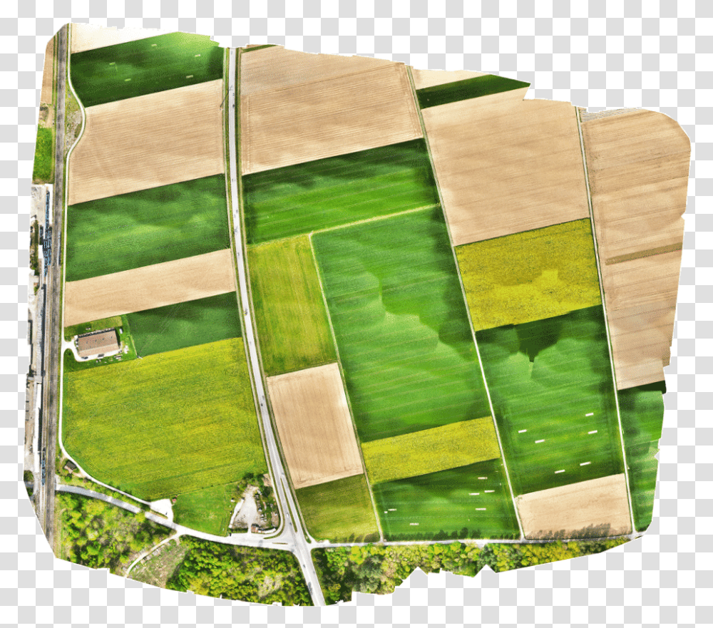 Fixed Wing Coverage Around 40 Percent Less Than Wingtraone Hardwood, Grass, Plant, Outdoors, Landscape Transparent Png