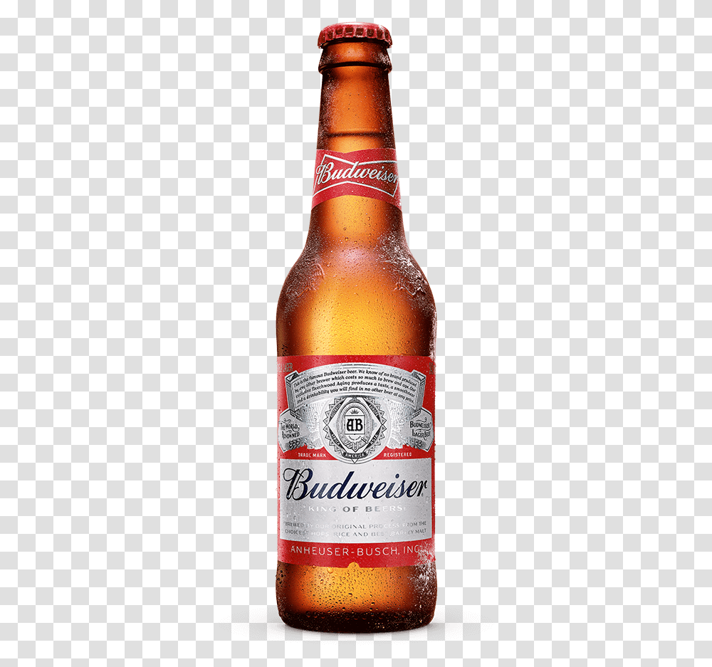 Fl Oz Bottle Download Budweiser, Beer, Alcohol, Beverage, Drink Transparent Png
