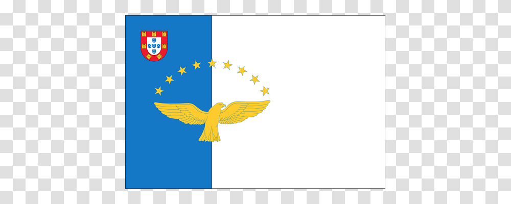 Flag Bird, Animal, Flying Transparent Png